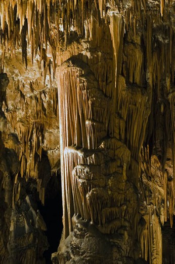 Vilenica