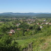 Vinicaa
