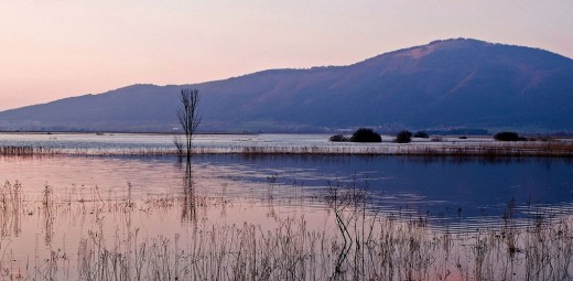 pic-cerknisko_jezero