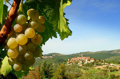 Slovenska Istra