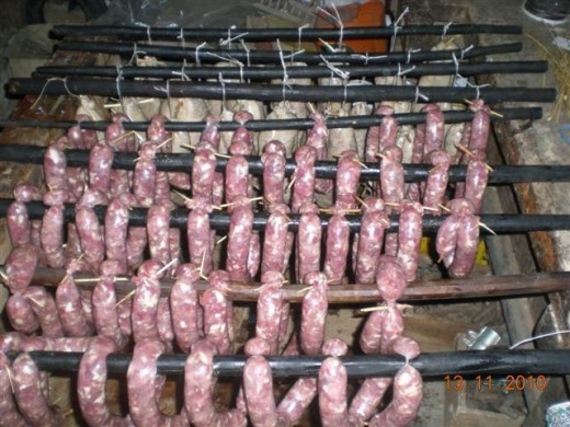 koline